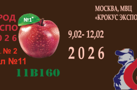 Со своим НА ВЫСТАВКЕ. 