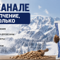 Оптовикам